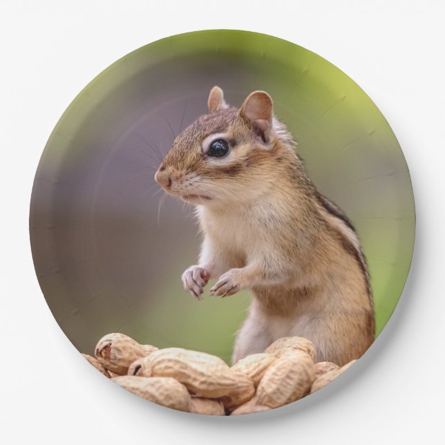 Plato De Papel Chipmunk con cacahuetes (Anverso)
