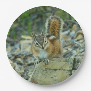Plato De Papel Chipmunk en el Parque Nacional Glaciar