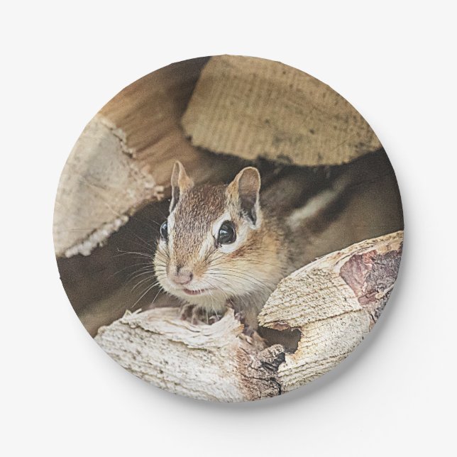 Plato De Papel Chipmunk en una pila de madera (Anverso)