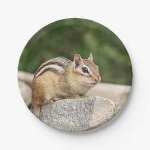 Plato De Papel Chipmunk en una roca