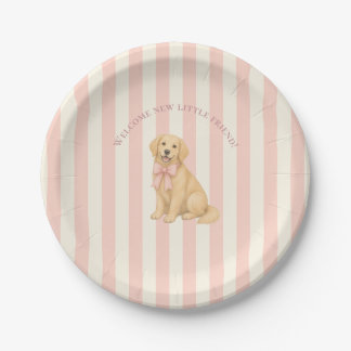 Plato De Papel Chupete de retriever dorado rosa