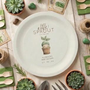 Plato De Papel Chupineta de baby shower