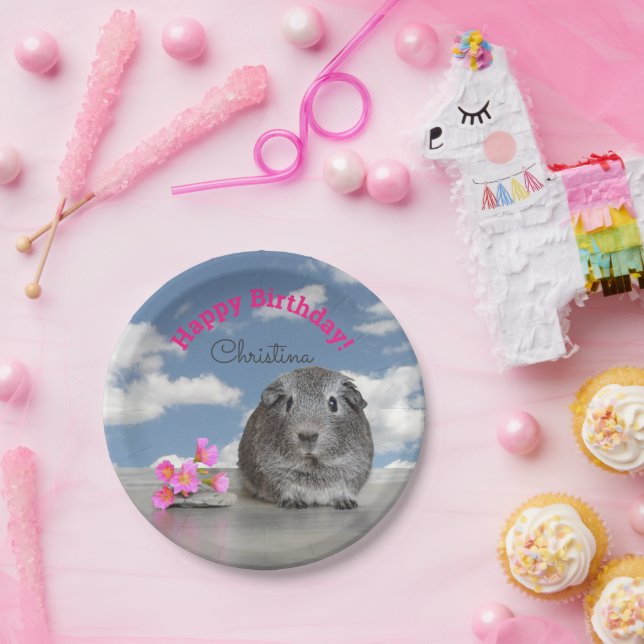 Plato De Papel Cielo de cerdo de Guinea, Fiesta de cumpleaños fel (Fiesta)