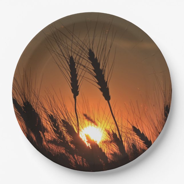 Plato De Papel Cierre de la silueta de Kansas Wheat Sunset (Anverso)