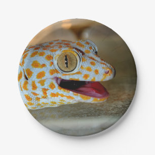 Plato De Papel Ciérrese encima del retrato del gecko de Tokay en