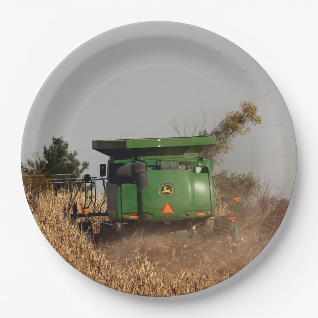 Plato De Papel Cimbina (Anverso)