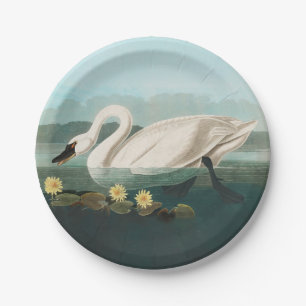 Plato De Papel cisnes de agua blanca de cisne audubon