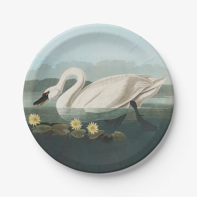 Plato De Papel cisnes de agua blanca de cisne audubon (Anverso)