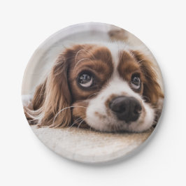 Plato De Papel Cocker Spaniel Dog de ojos tristes