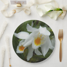 Plato De Papel Coelogyne blanca Mooreana Orquídea Floral