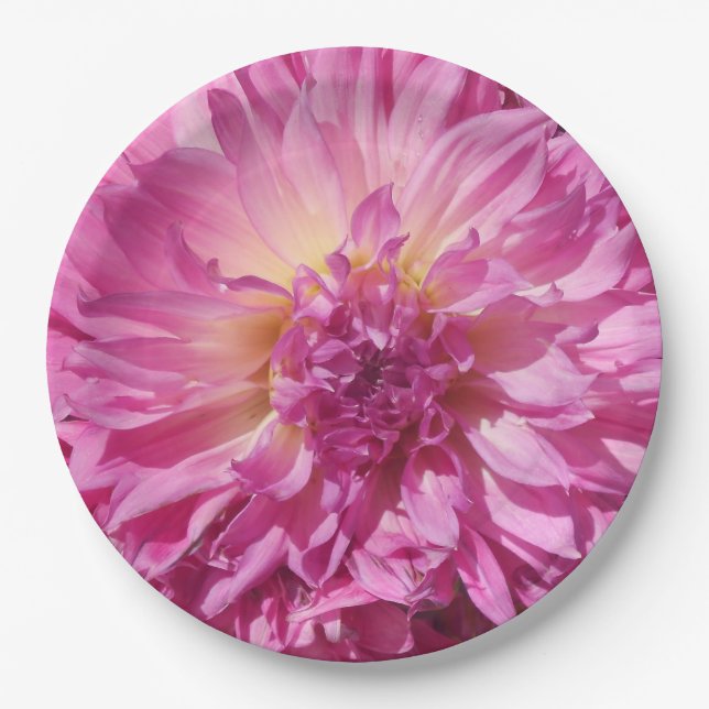 Plato De Papel Cogniet (Anverso)