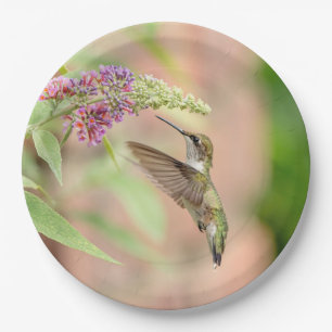 Plato De Papel Colibrí en una planta floreciente
