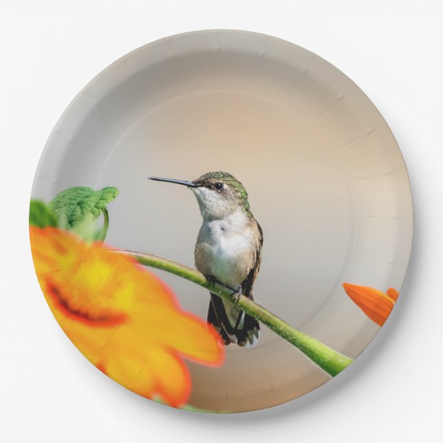Plato De Papel Colibrí en una planta floreciente (Anverso)