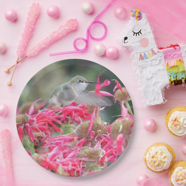 Plato De Papel Colibrí y flores rosas (Fiesta)