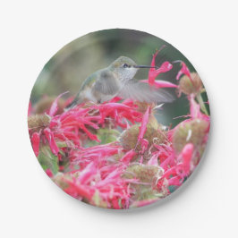 Plato De Papel Colibrí y flores rosas
