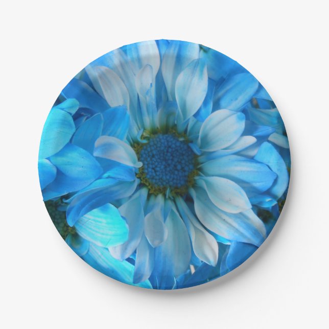 Plato De Papel Collato (Anverso)