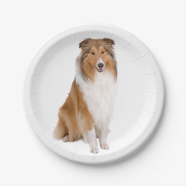 Plato De Papel Collie, amante del perro porcino (Anverso)