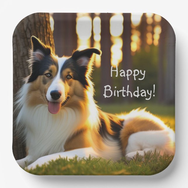 Plato De Papel Collie Feliz cumpleaños (Anverso)