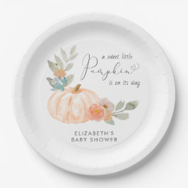 Plato De Papel Color de agua de calabaza Baby Shower