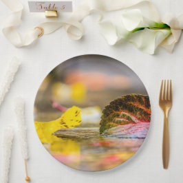 Plato De Papel Colores de caída