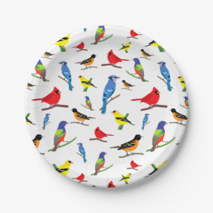 Plato De Papel Coloridas Aves Norteamericanas Patrón de Gala Sams