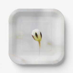 Plato de papel con estampado de flor blanca elegan