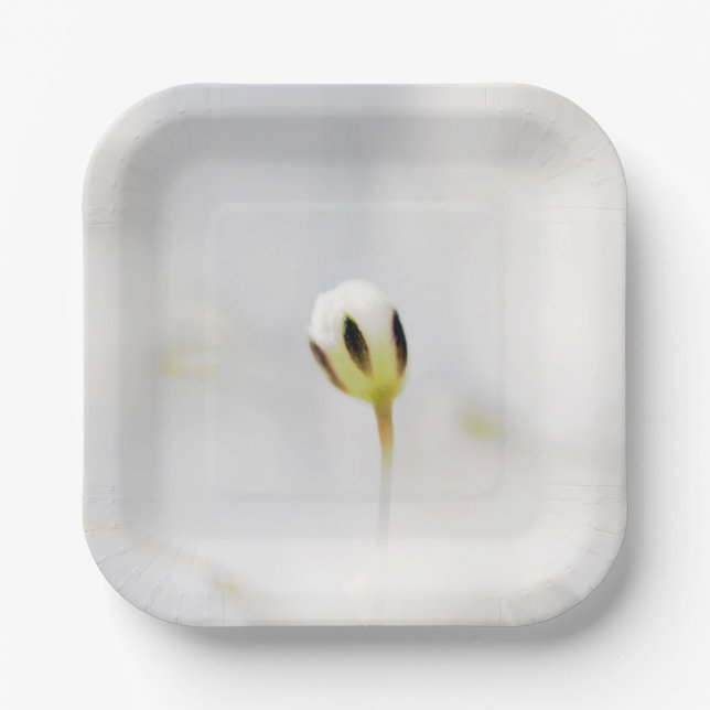 Plato de papel con estampado de flor blanca elegan (Anverso)