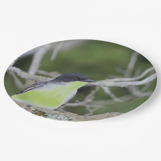 Plato De Papel Con Un Pequeño Ave En Los Verdes (Angular)