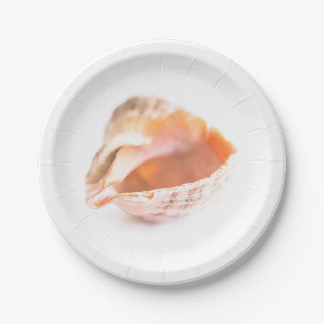 Plato De Papel Concha (Anverso)