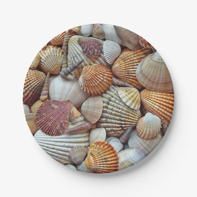 Plato De Papel Conchas de mar (Anverso)