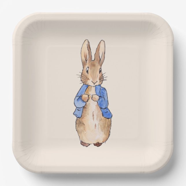 Plato De Papel Conejo clásico azul chaqueta (Anverso)