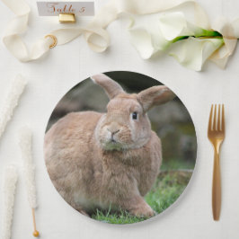 Plato De Papel Conejo de jengibre con orejas grandes