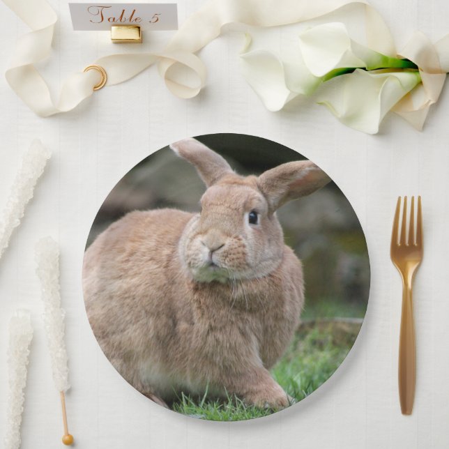 Plato De Papel Conejo de jengibre con orejas grandes (Boda)