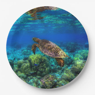 Plato De Papel Coral de tortuga tropical submarina