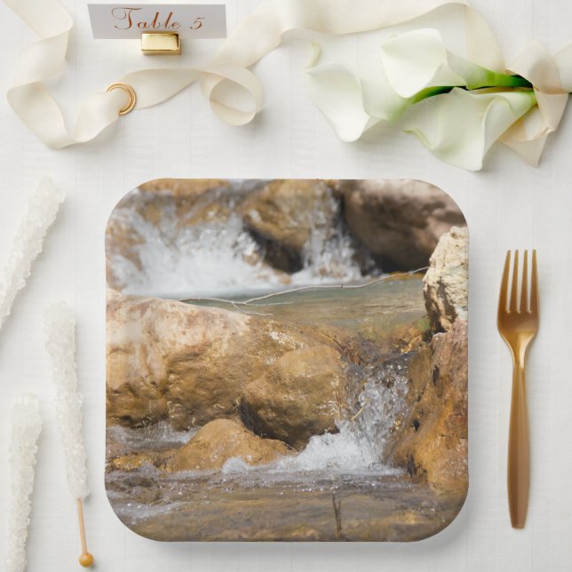 Plato De Papel Corriente tormentosa en primavera (Boda)
