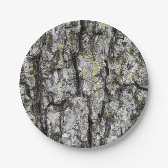 Plato De Papel Corteza de árbol (Anverso)
