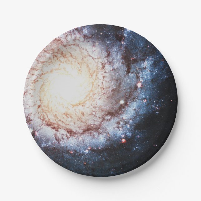 Plato De Papel Cosmos coloridos (Anverso)