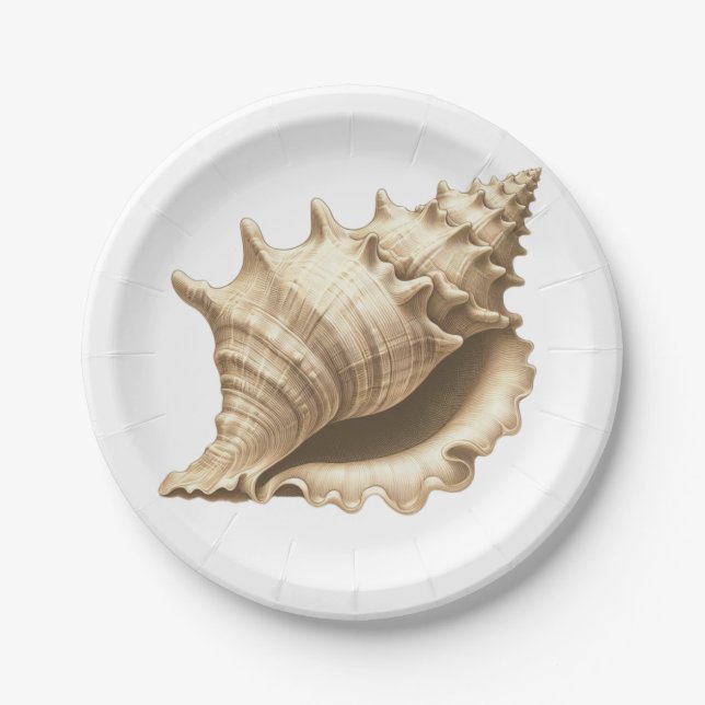 Plato De Papel Costero/playa/concha náutica (Anverso)