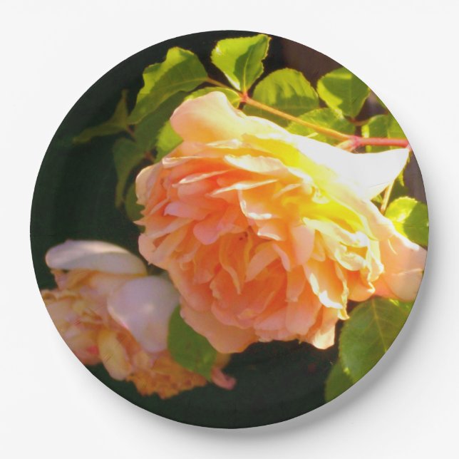 Plato De Papel Country Peach amarillo Roses (Anverso)