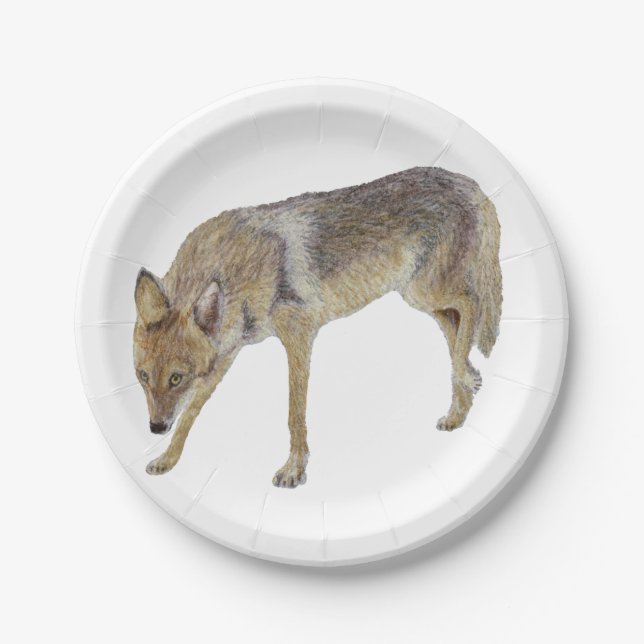 Plato De Papel Coyote (Anverso)