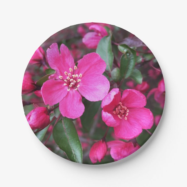 Plato De Papel Crabapple de floración rosa (Anverso)