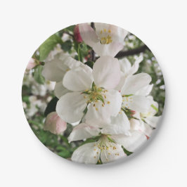 Plato De Papel Crabapple floreciente