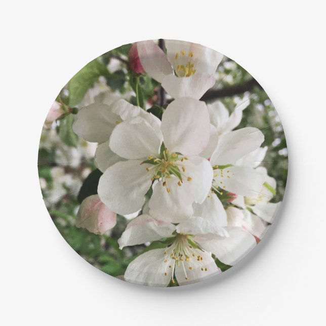 Plato De Papel Crabapple floreciente (Anverso)