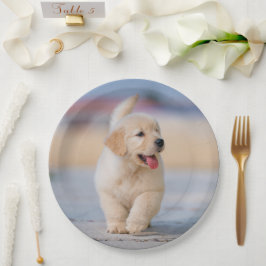 Plato De Papel Crea tu propia mascota personalizada