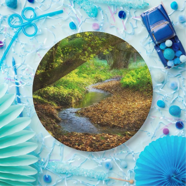 Plato De Papel Creek forestal Hermoso paisaje natural Foto (Fiesta)