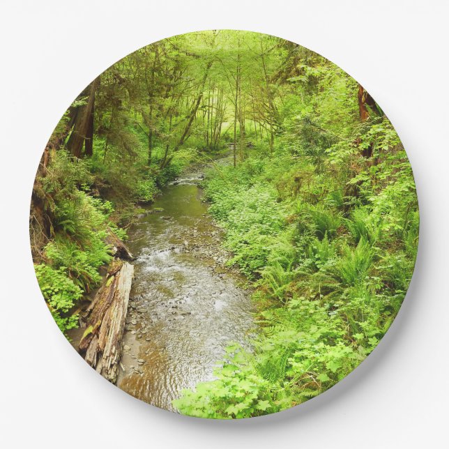 Plato De Papel Creek masculino perdido II en el Parque Nacional R (Anverso)