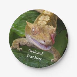 Plato De Papel Crested Gecko