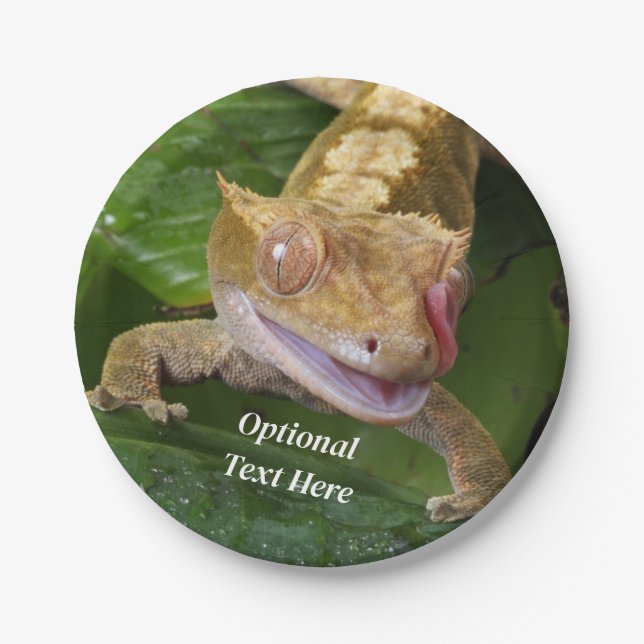 Plato De Papel Crested Gecko (Anverso)