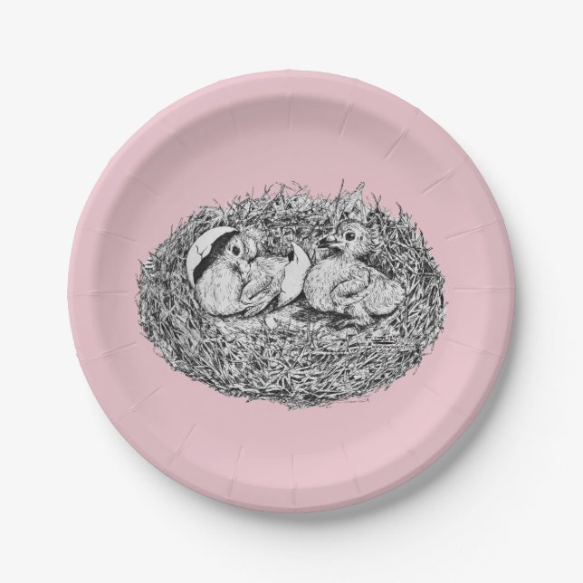 Plato De Papel Crías de nido de paloma (Anverso)