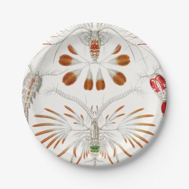 Plato De Papel Crustáceos de Vida Marina, Copepoda por Ernst Haec (Anverso)